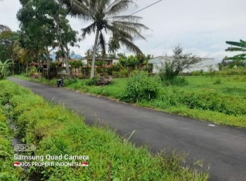 Sawah Murah Dekat Jogja Eco Wisata Dan Kampus UII Jalan Kaliurang